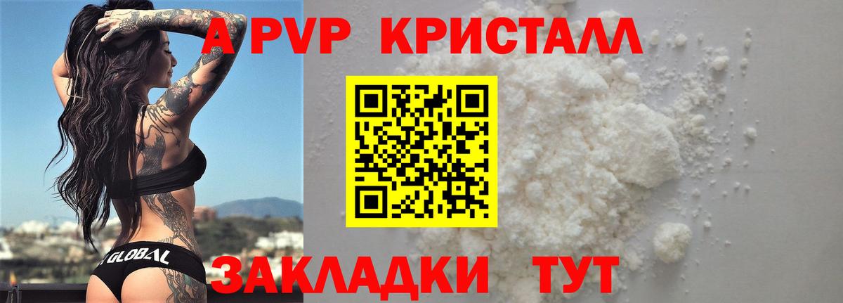 A PVP СК КРИС Кириши