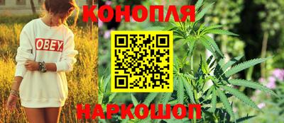 mdpv Дубна